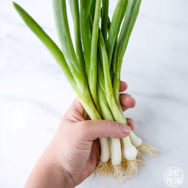 How to Store Green Onions: Easy Methods to Keep Them Fresh Recipe